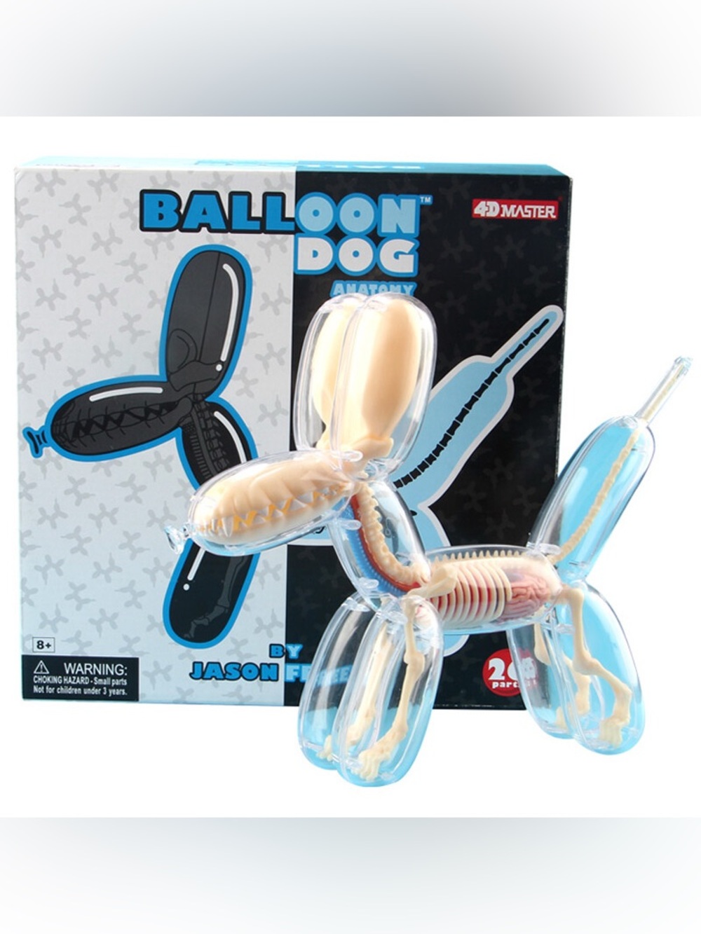Balloon Dog Anatomy Model Kit #85